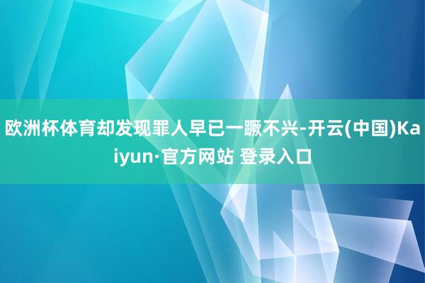 欧洲杯体育却发现罪人早已一蹶不兴-开云(中国)Kaiyun·官方网站 登录入口