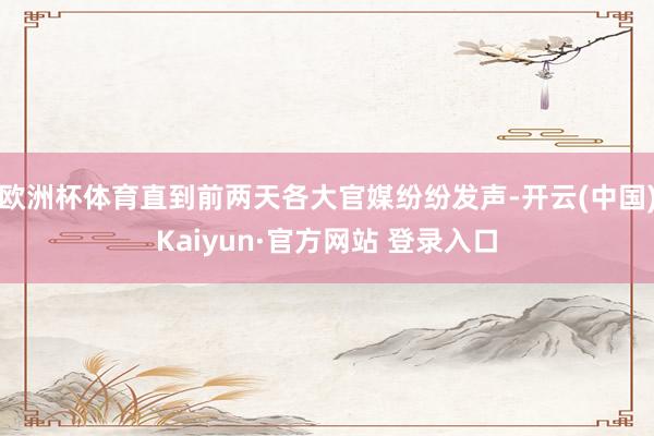 欧洲杯体育直到前两天各大官媒纷纷发声-开云(中国)Kaiyun·官方网站 登录入口