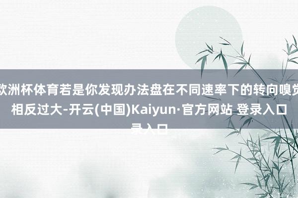 欧洲杯体育若是你发现办法盘在不同速率下的转向嗅觉相反过大-开云(中国)Kaiyun·官方网站 登录入口