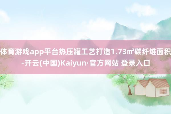 体育游戏app平台热压罐工艺打造1.73㎡碳纤维面积-开云(中国)Kaiyun·官方网站 登录入口