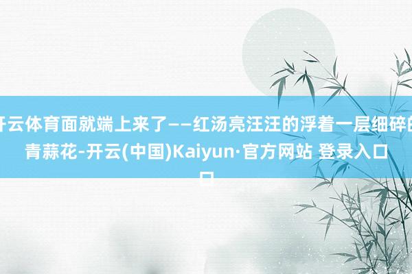 开云体育面就端上来了——红汤亮汪汪的浮着一层细碎的青蒜花-开云(中国)Kaiyun·官方网站 登录入口