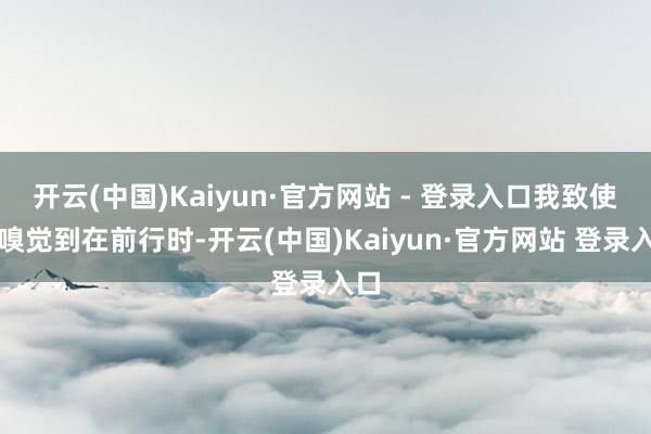 开云(中国)Kaiyun·官方网站 - 登录入口我致使能嗅觉到在前行时-开云(中国)Kaiyun·官方网站 登录入口