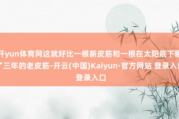 开yun体育网这就好比一根新皮筋和一根在太阳底下晒了三年的老皮筋-开云(中国)Kaiyun·官方网站 登录入口