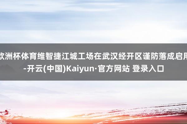 欧洲杯体育维智捷江城工场在武汉经开区谨防落成启用-开云(中国)Kaiyun·官方网站 登录入口