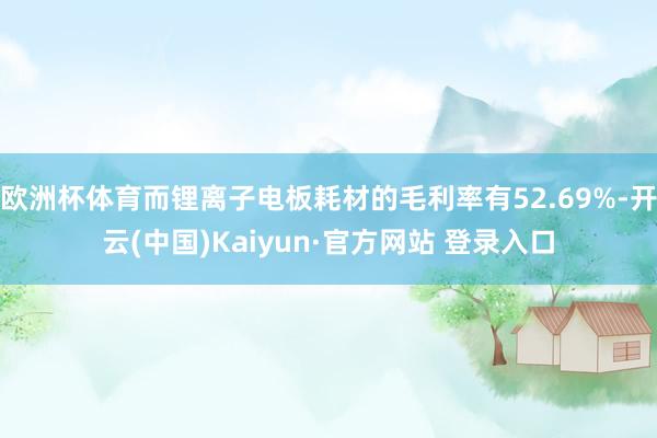 欧洲杯体育而锂离子电板耗材的毛利率有52.69%-开云(中国)Kaiyun·官方网站 登录入口