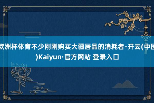 欧洲杯体育不少刚刚购买大疆居品的消耗者-开云(中国)Kaiyun·官方网站 登录入口