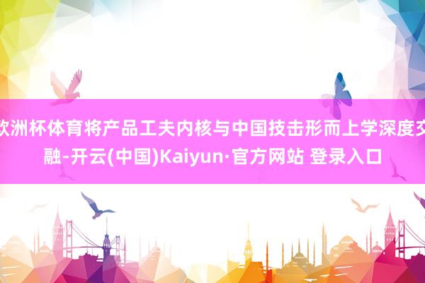 欧洲杯体育将产品工夫内核与中国技击形而上学深度交融-开云(中国)Kaiyun·官方网站 登录入口