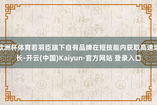 欧洲杯体育若羽臣旗下自有品牌在短技能内获取高速增长-开云(中国)Kaiyun·官方网站 登录入口